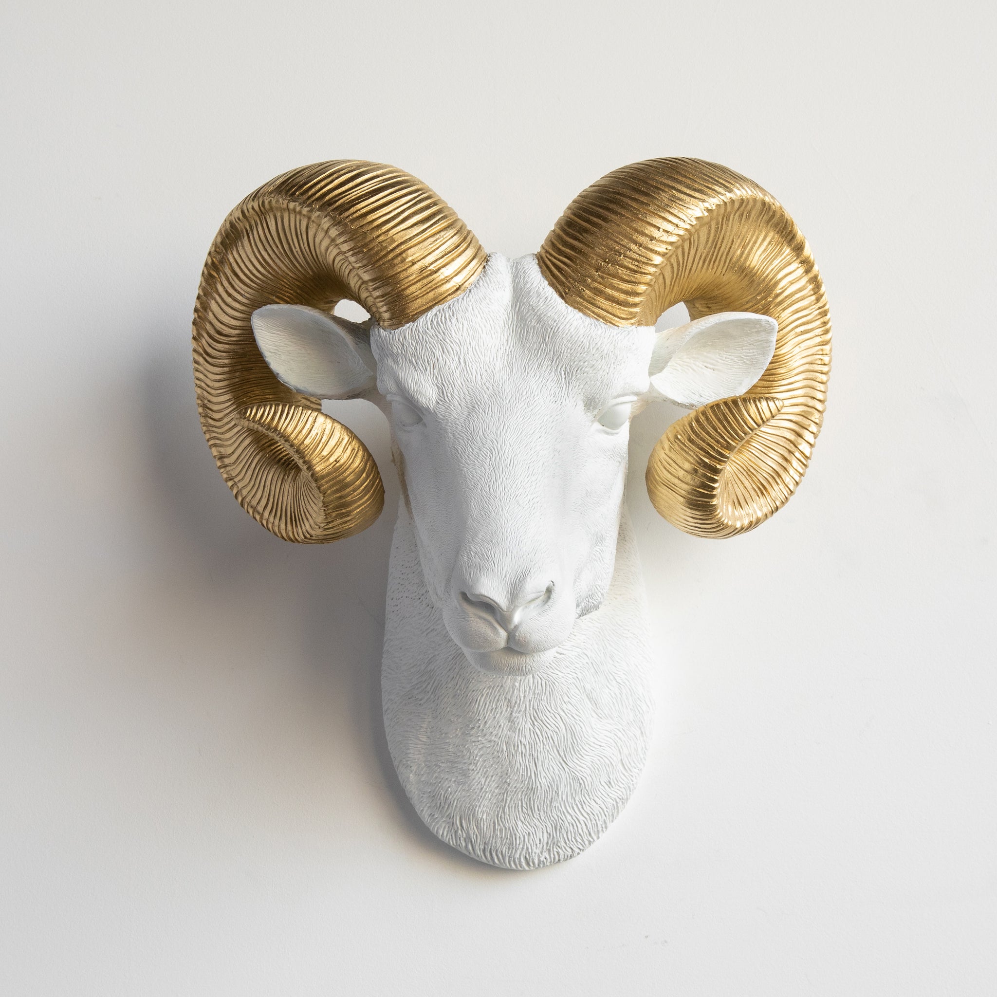 Faux Ram Wall Mount // White with Gold Horns