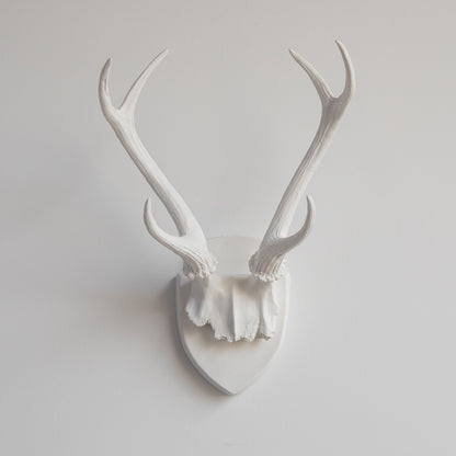Faux Deer Antler Wall Trophy // White