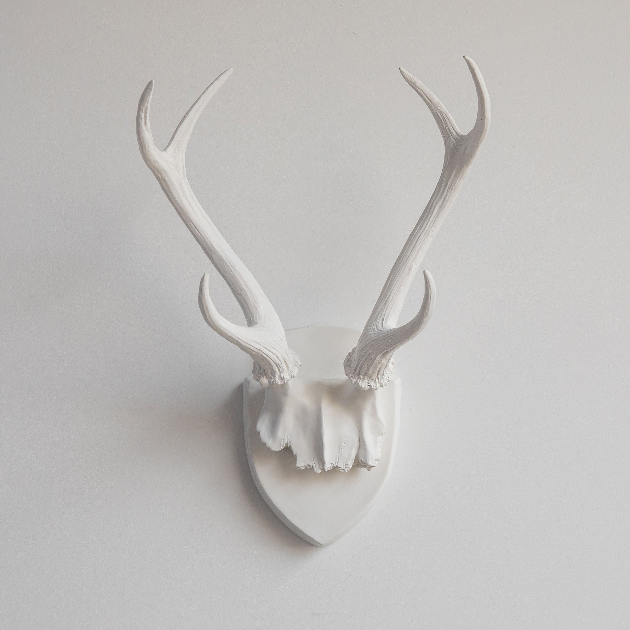 Faux Deer Antler Wall Trophy // White with Natural Antlers