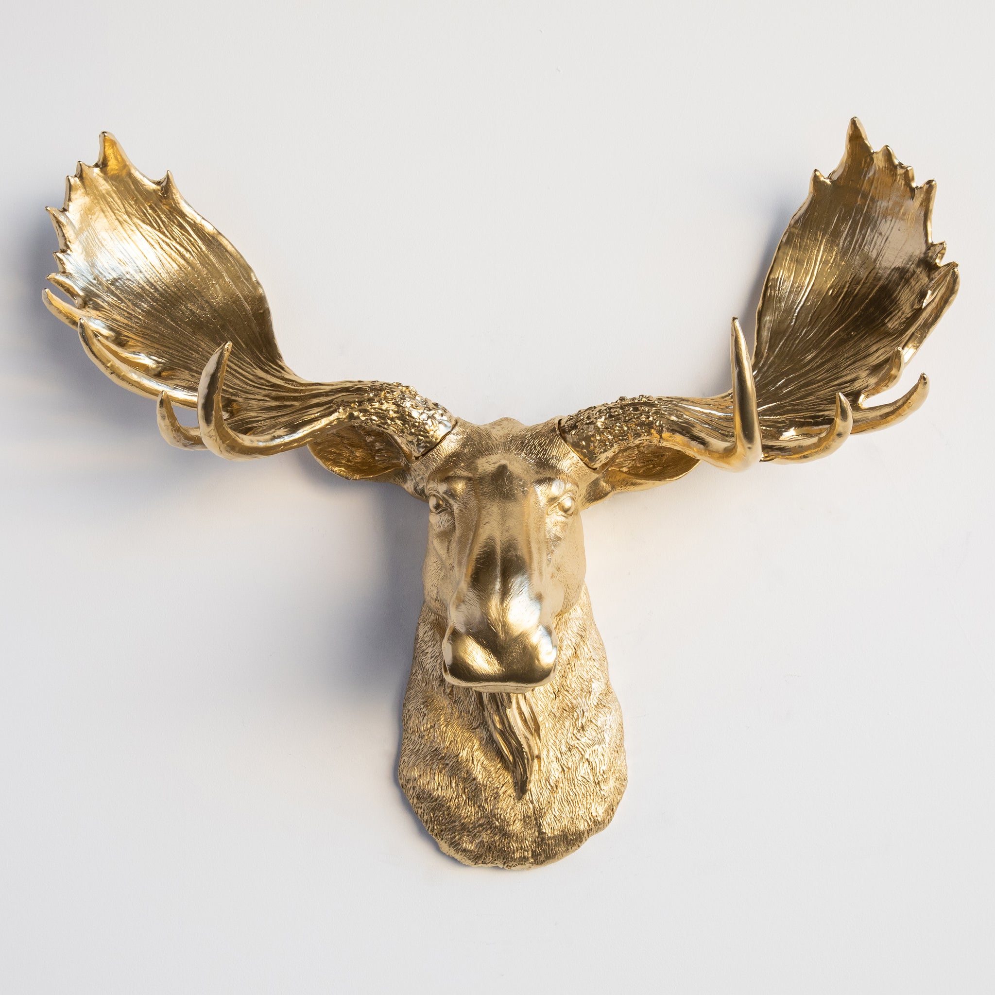 Faux Moose Head Wall Mount // Gold