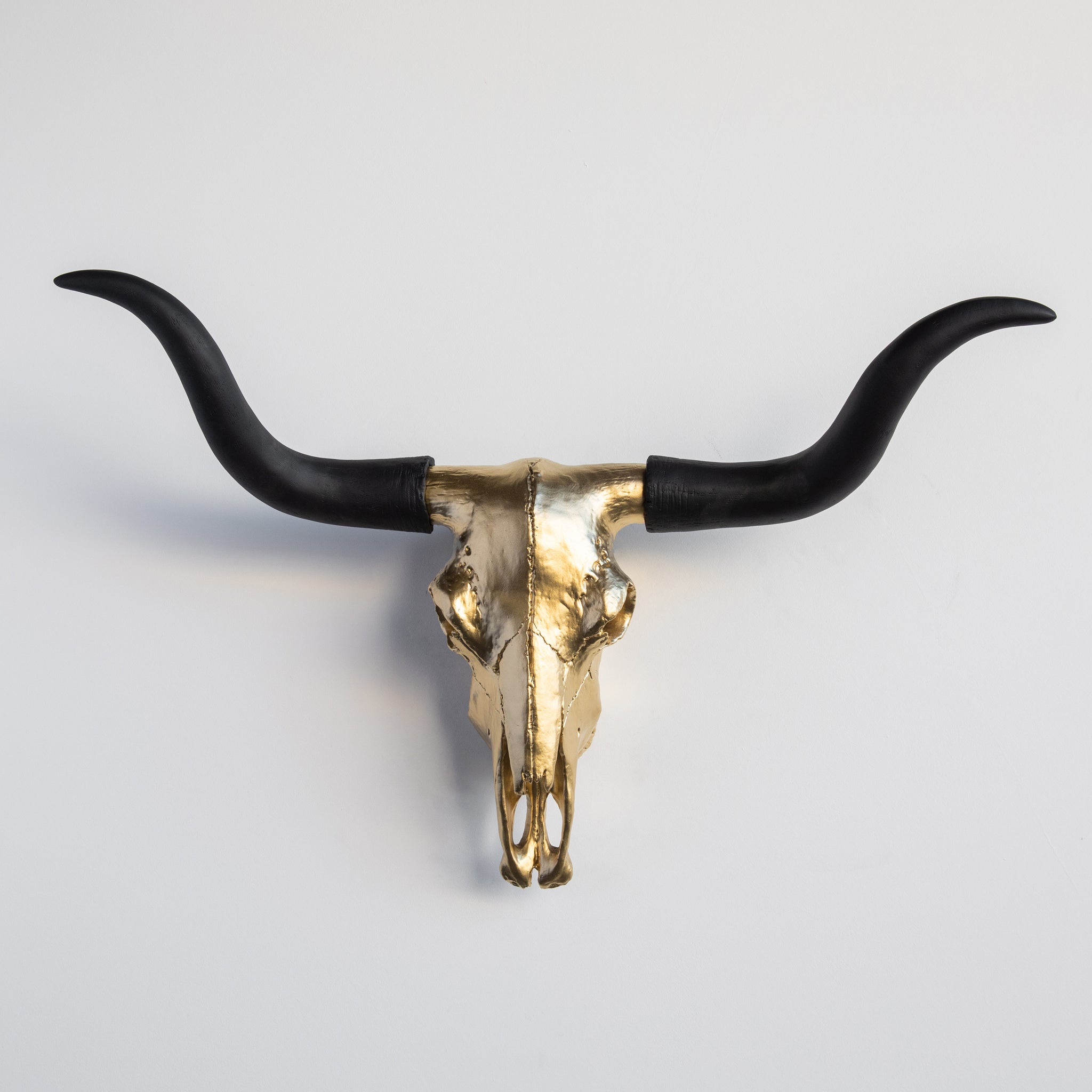 Faux Texas Longhorn Steer Skull Wall Mount // Gold and Black