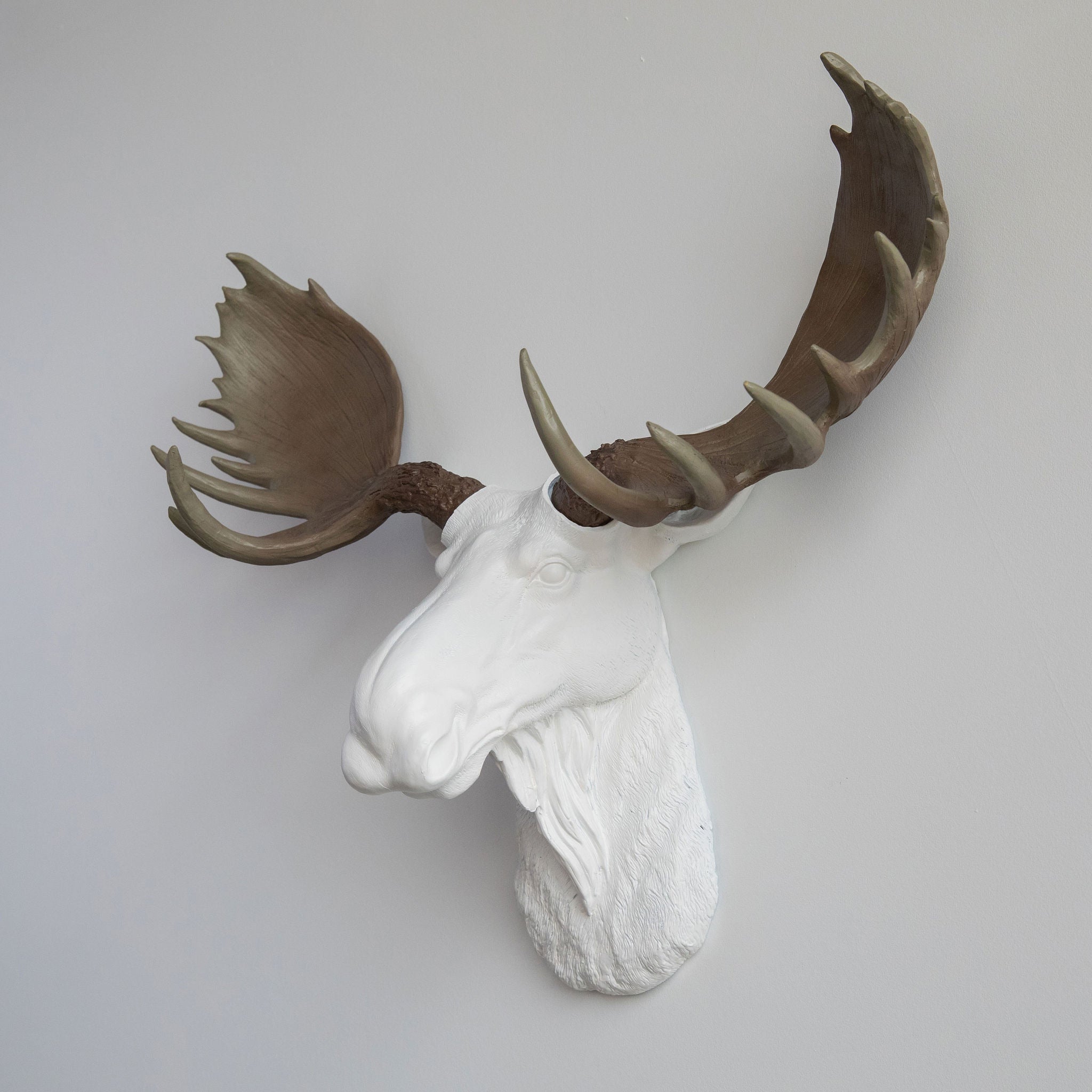 Faux Moose Head Wall Mount // White with Natural Antlers