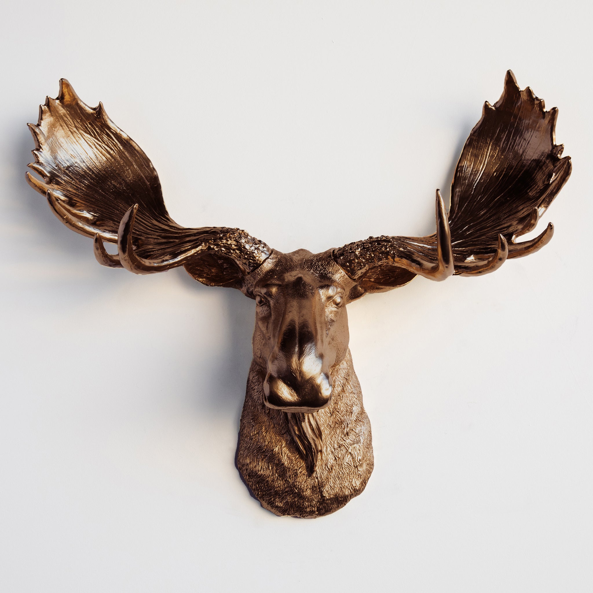 Faux Moose Head Wall Mount // Bronze