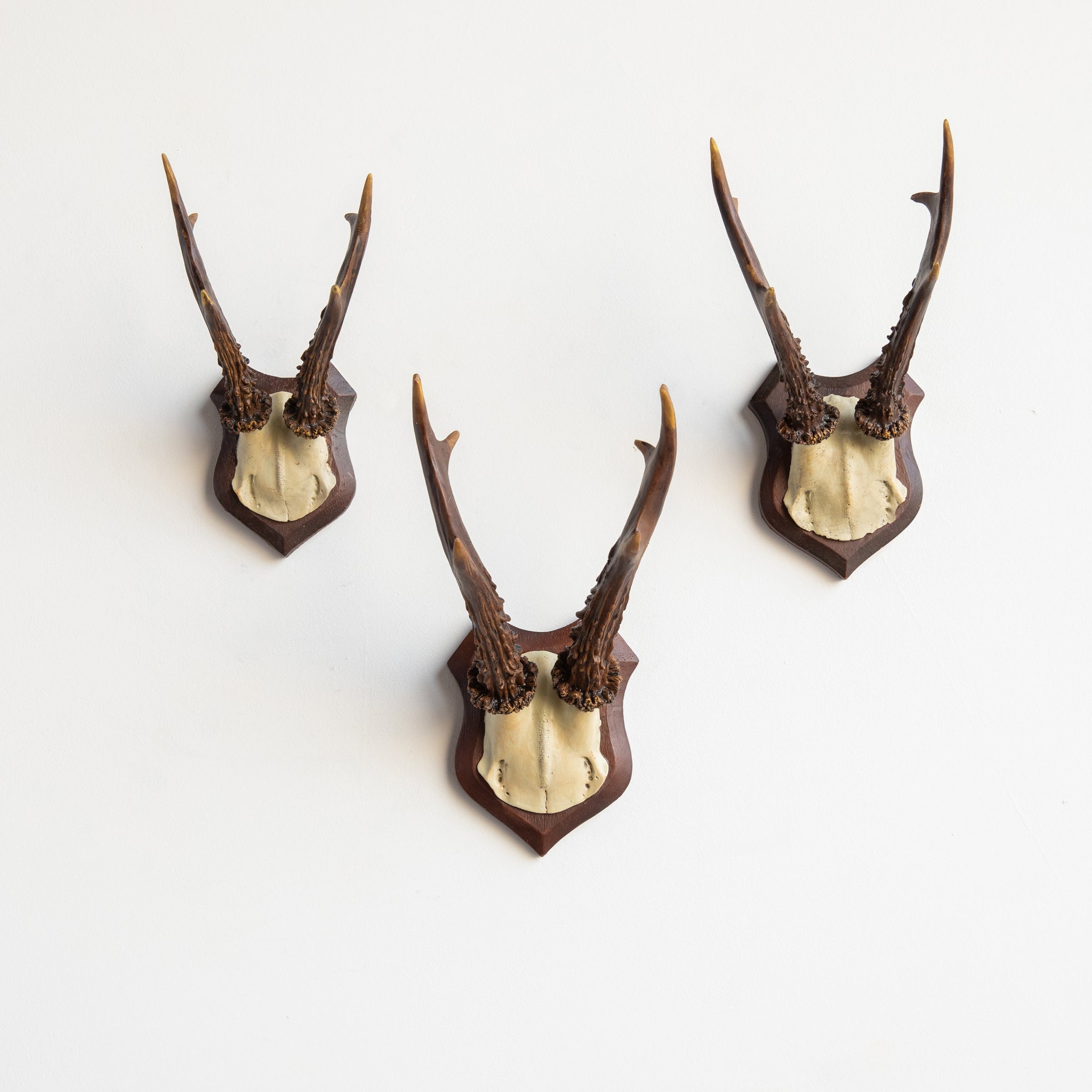 Faux Roe Deer Skull Caps - Set of 3 // Brown and Bone