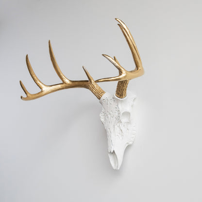 Faux Carved Deer Skull // White and Gold