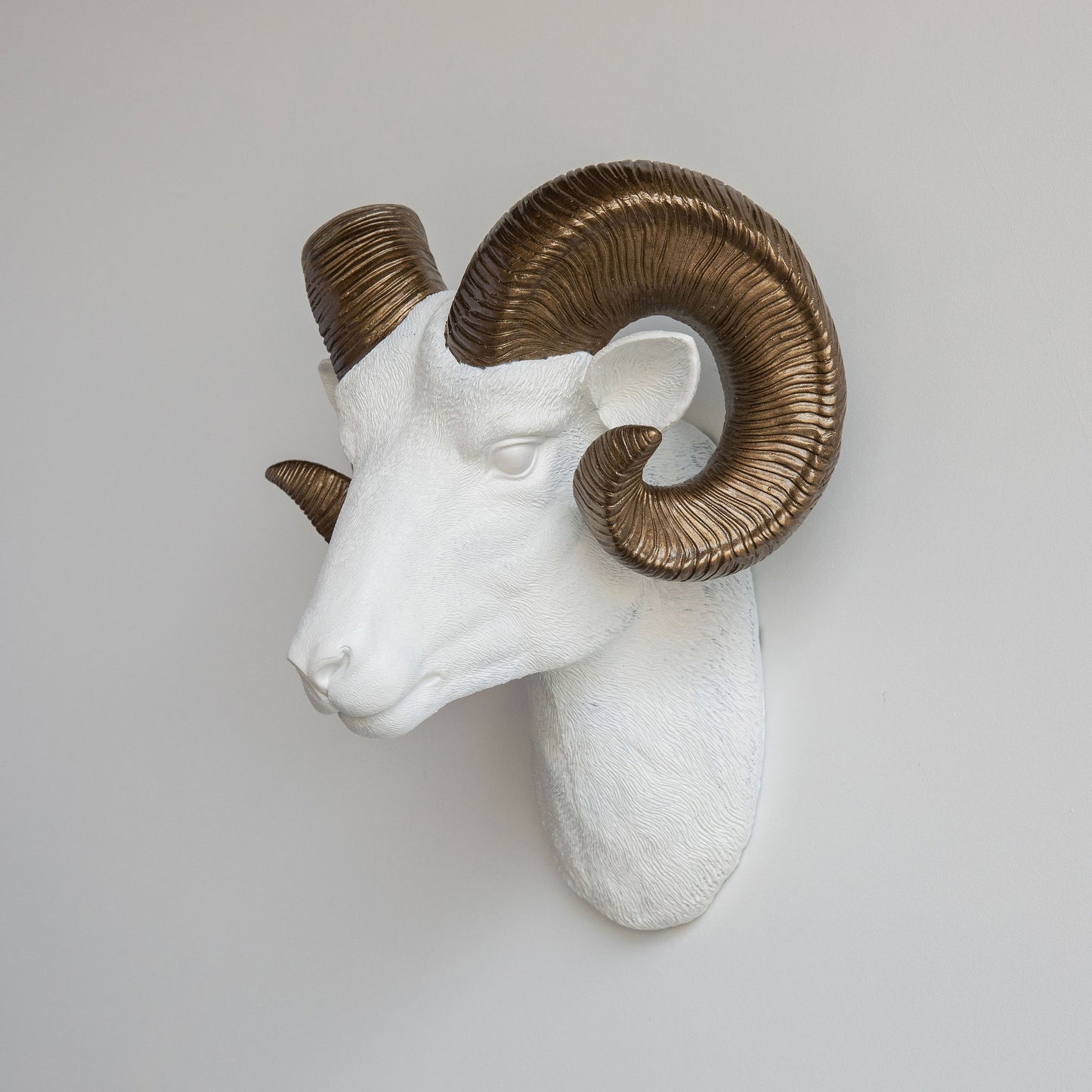 Faux Ram Wall Mount // White with Bronze Horns