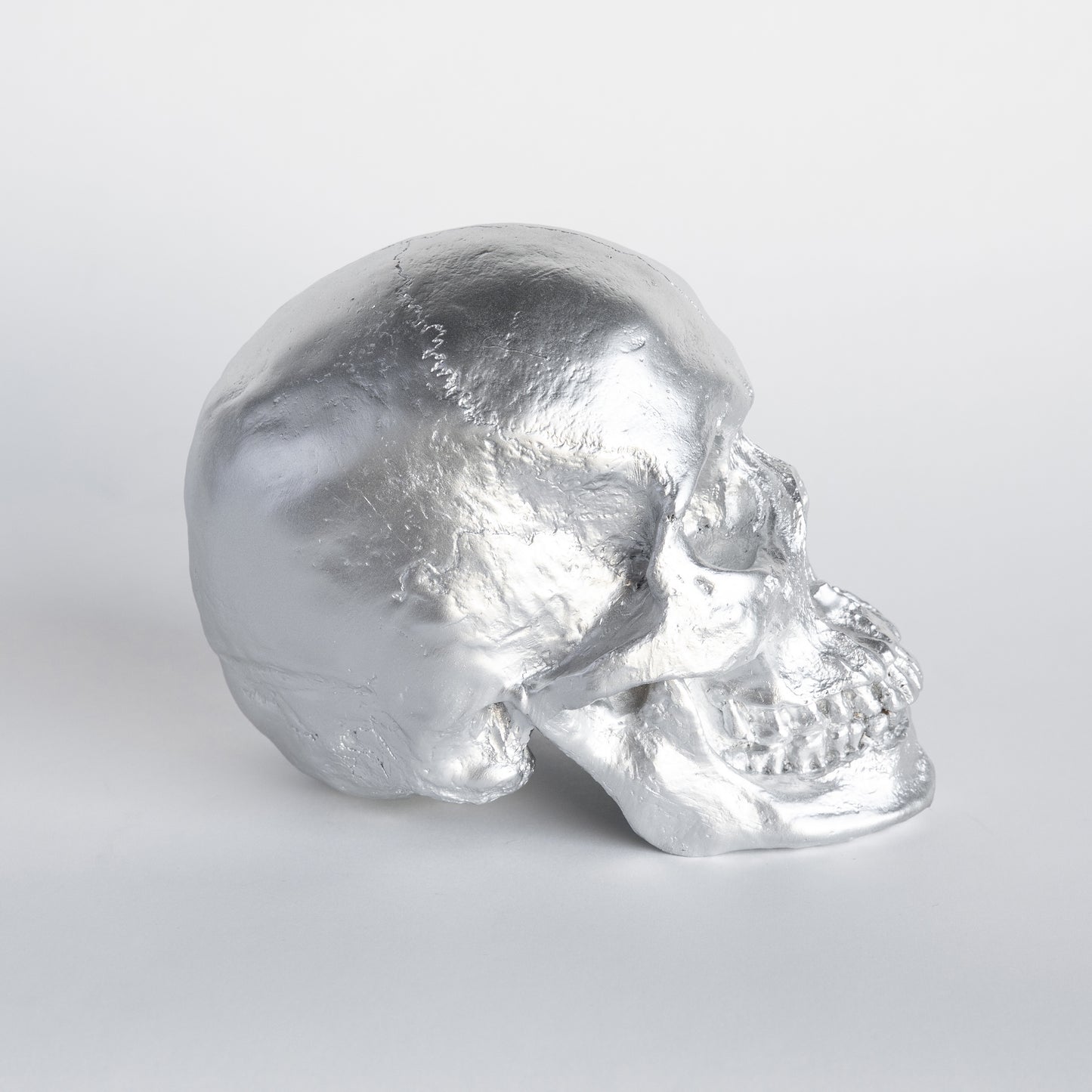 Faux Human Skull Replica // Silver