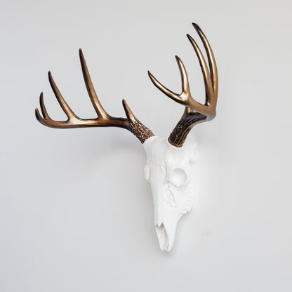 Faux Small Deer Skull // White with Bronze Antlers