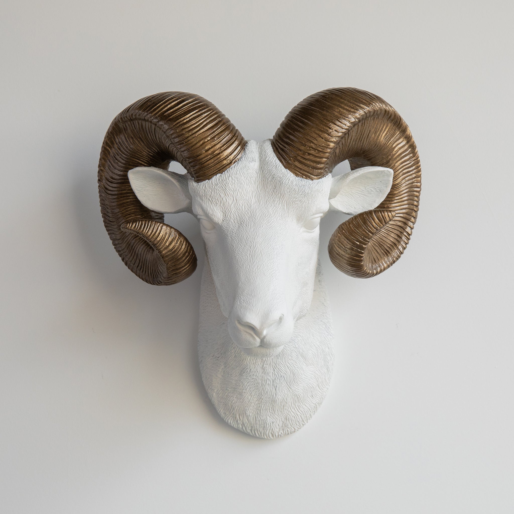 Faux Ram Wall Mount // White with Bronze Horns