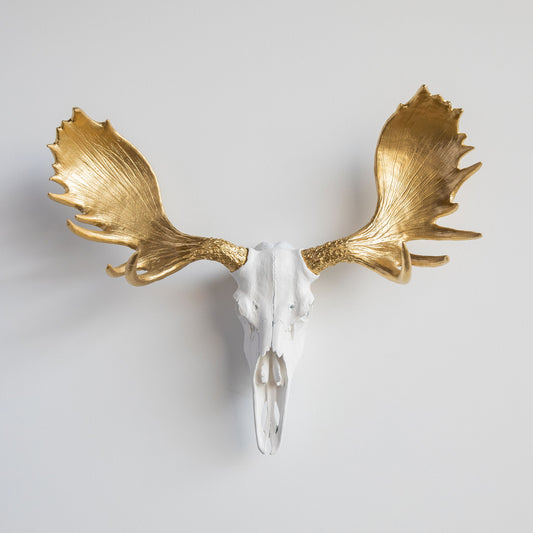 Faux Moose Skull Wall Mount // White and Gold