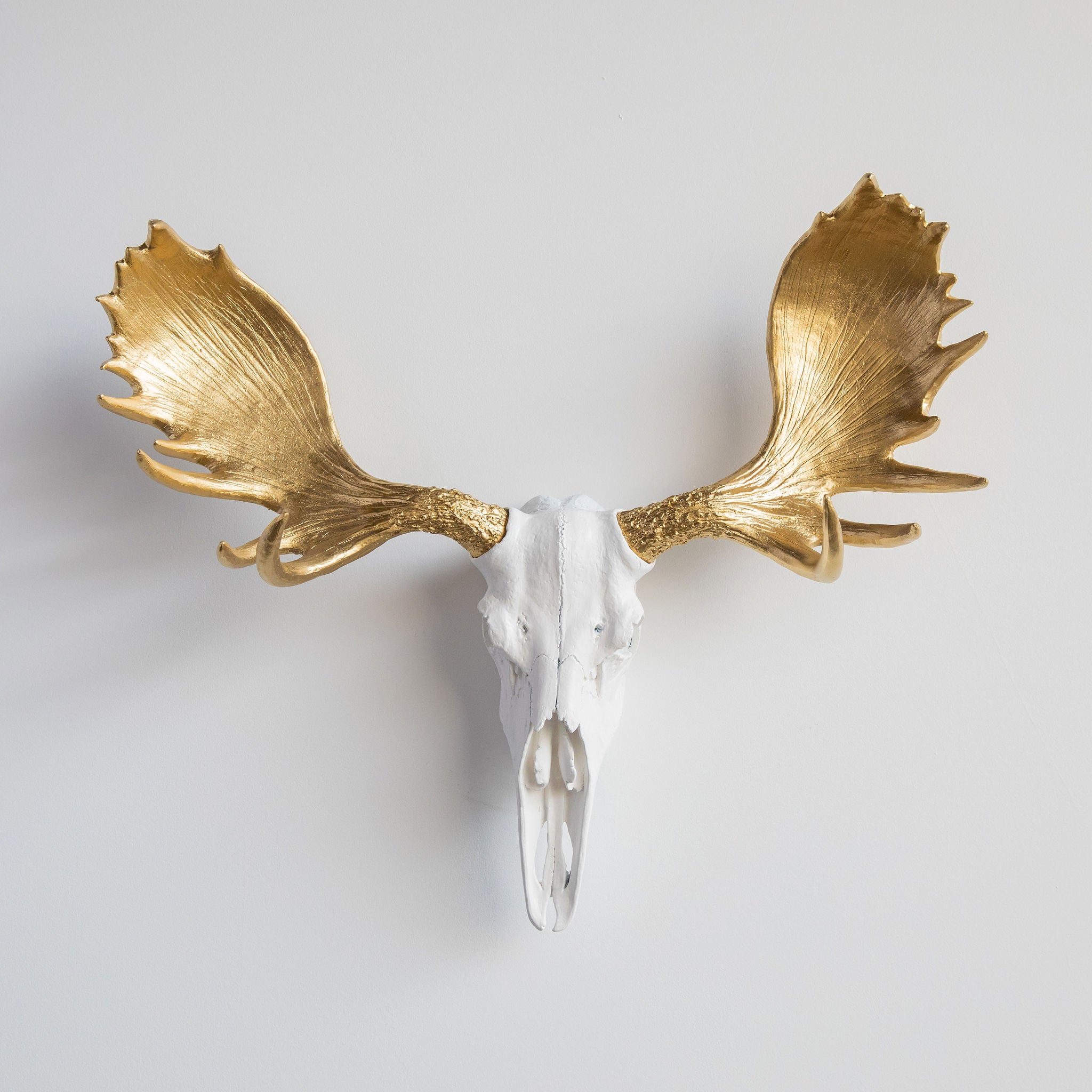 Faux Moose Skull Wall Mount // White and Gold