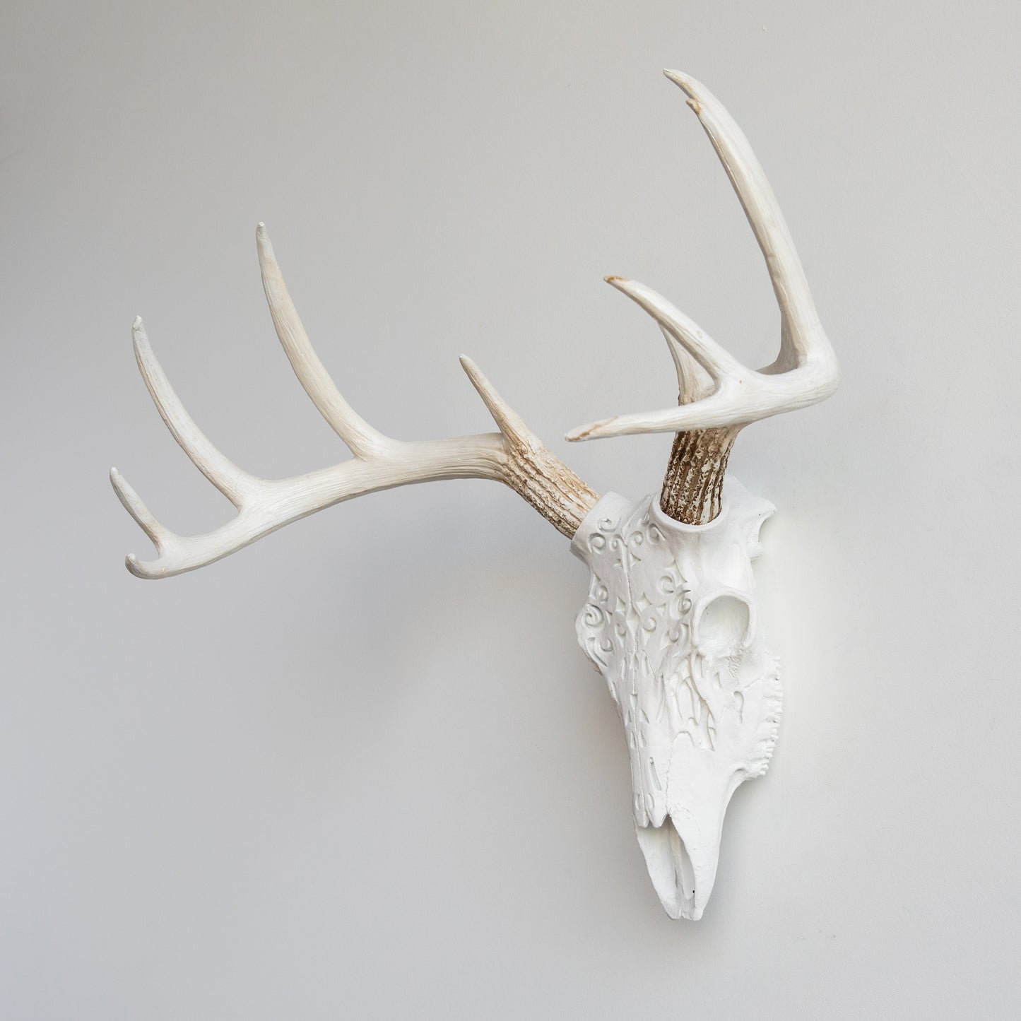 Faux Carved Deer Skull // White and Realistic
