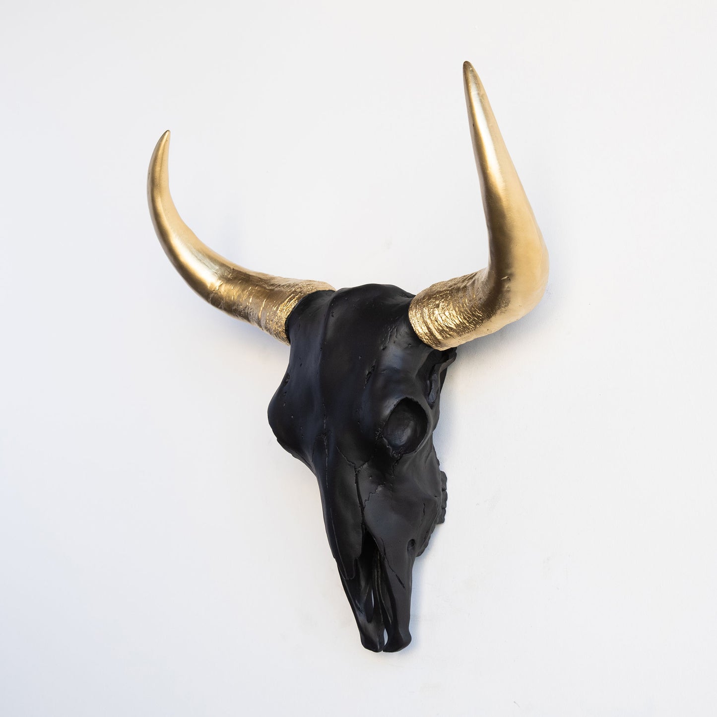 XL Faux Bison Skull // Black and Gold
