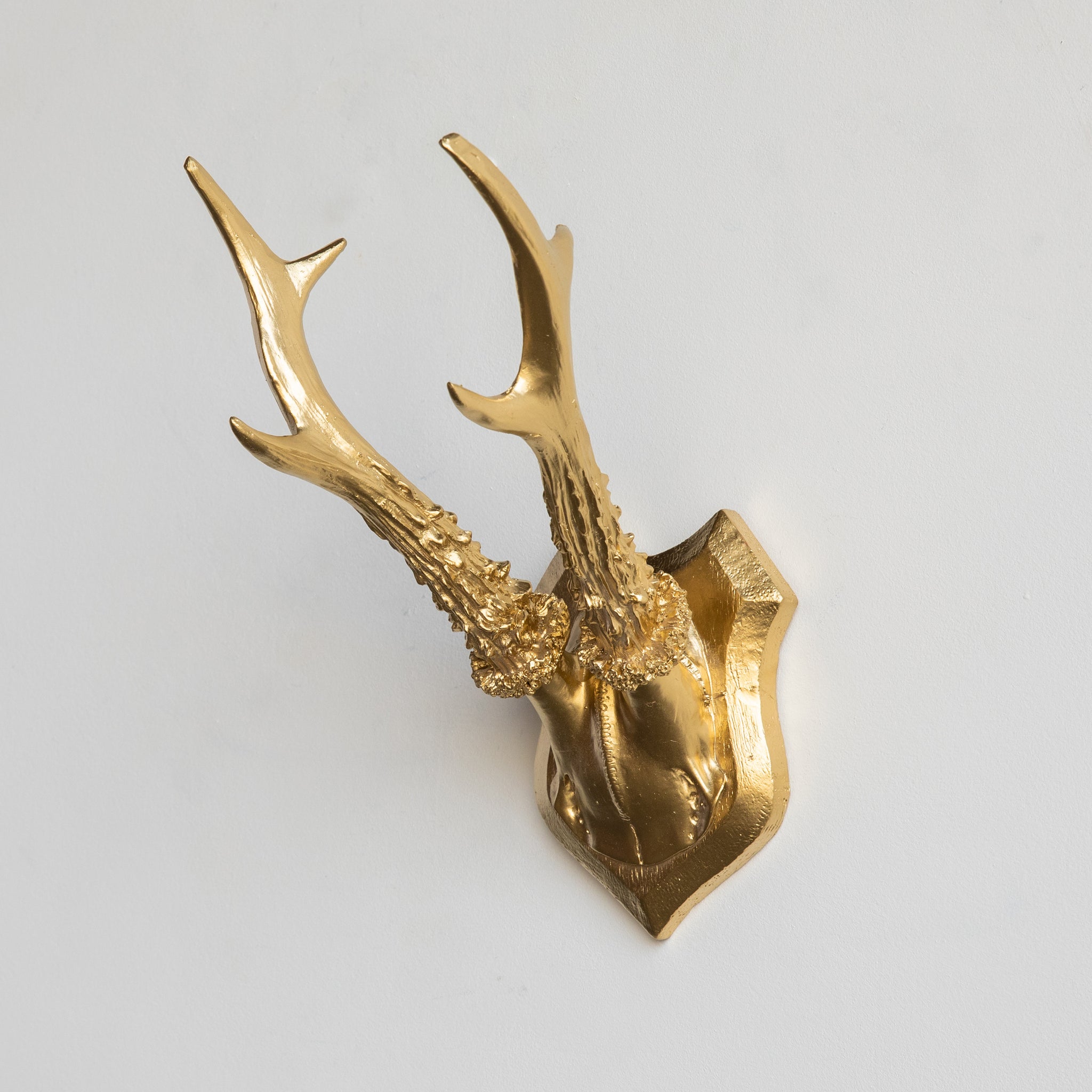 Faux Roe Deer Skull Caps - Set of 3 // Gold