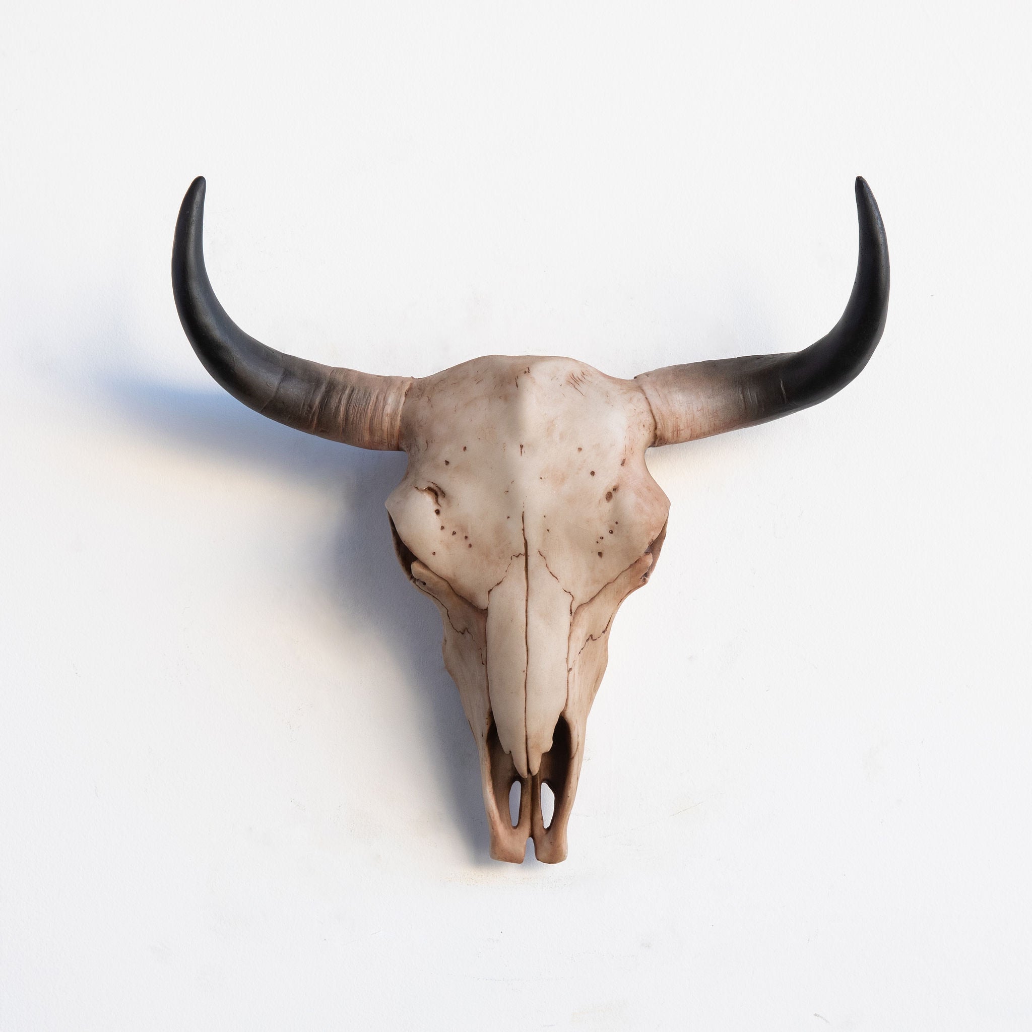 Faux Bison Skull // Natural – Near and Deer