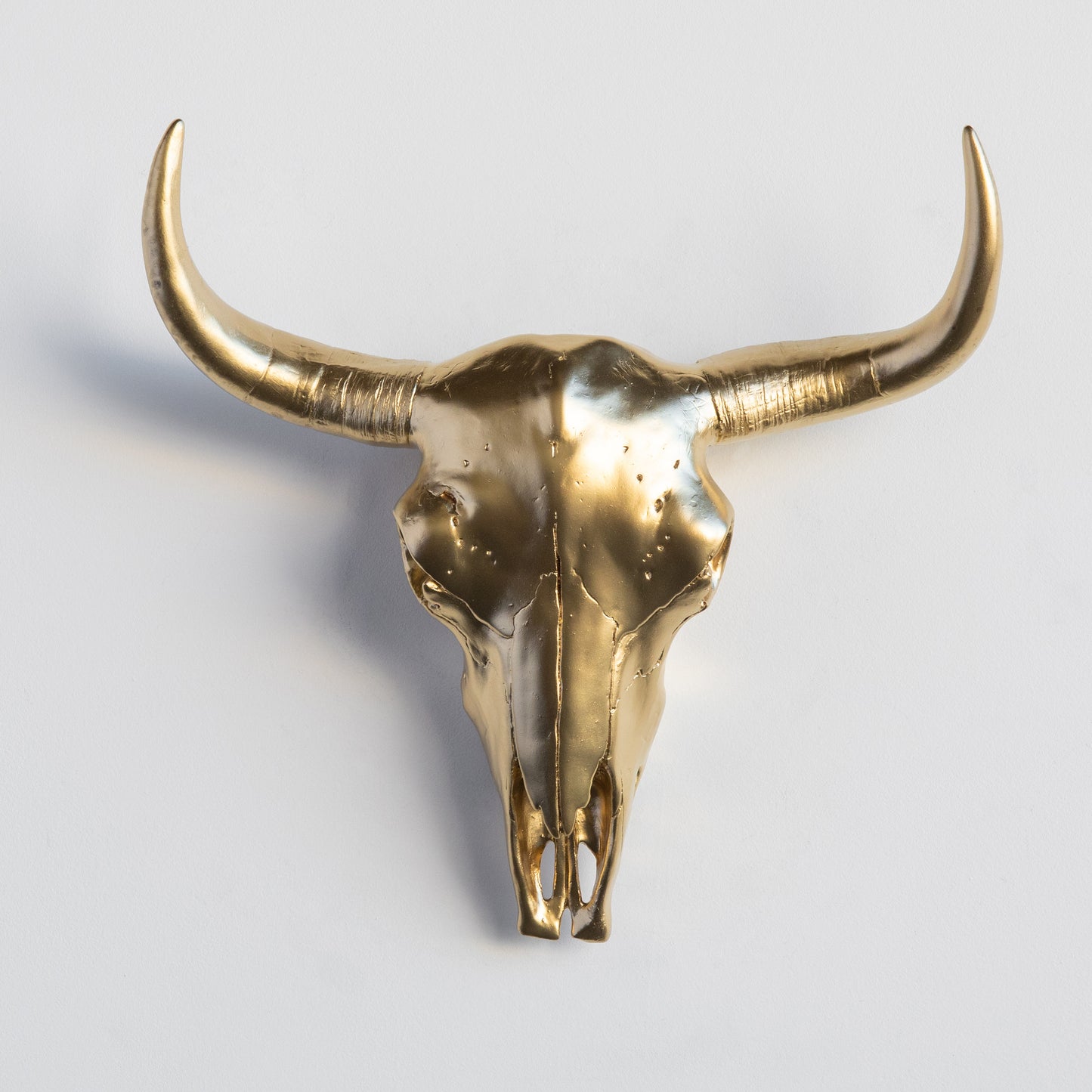 Faux Bison Skull // Gold