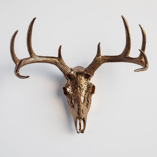 Faux Carved Deer Skull // Bronze