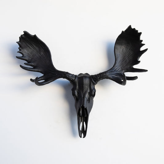 Faux Moose Skull Wall Mount // Black