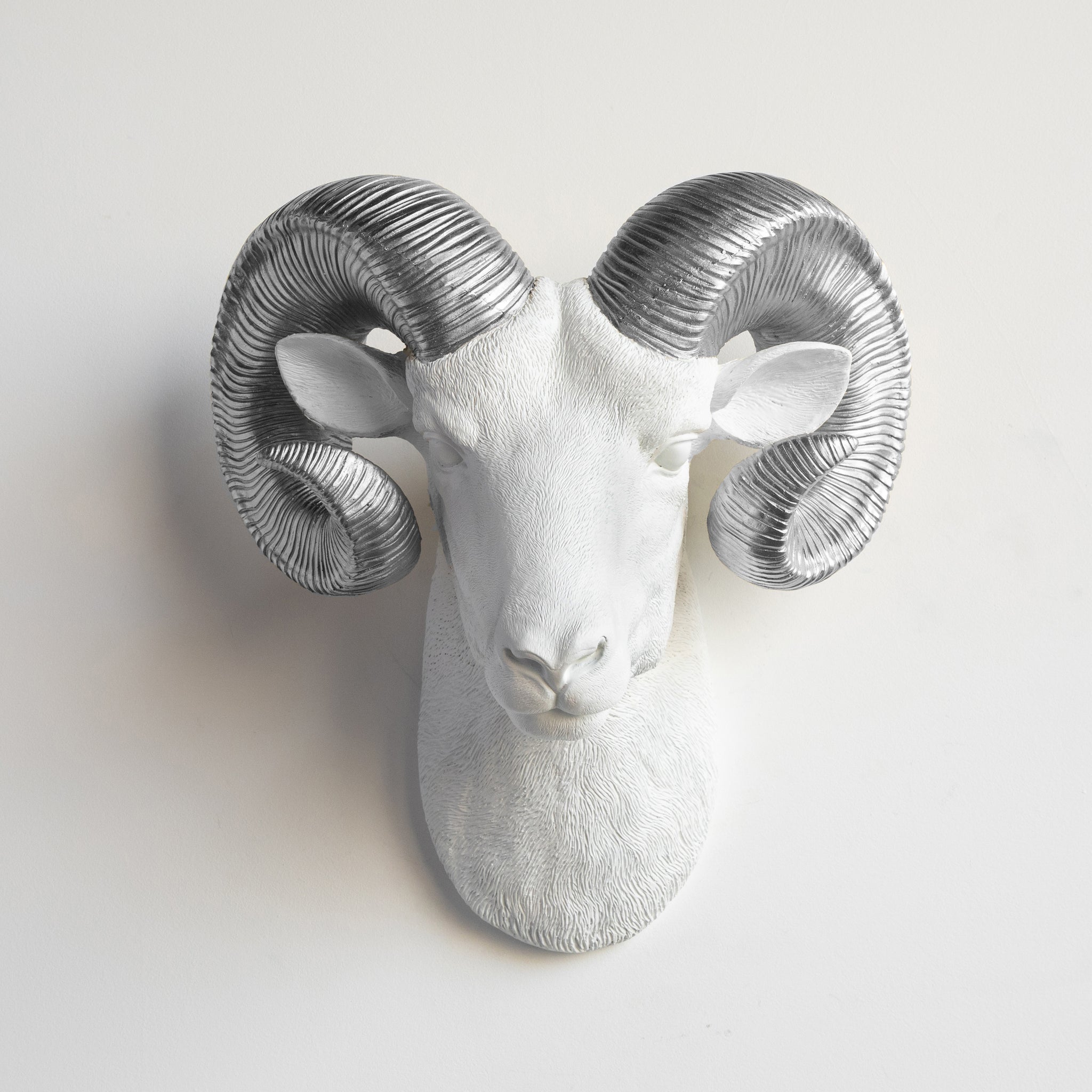 Faux Ram Wall Mount // White with Silver Horns