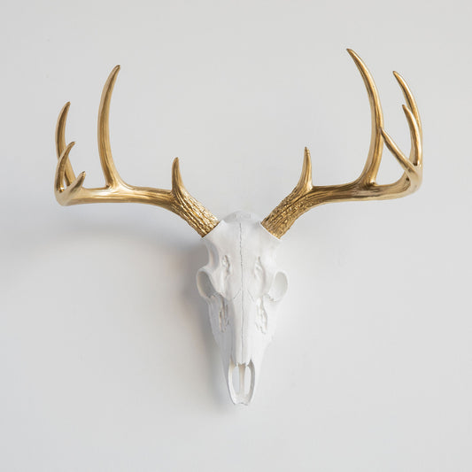 Faux Small Deer Skull // White with Gold Antlers