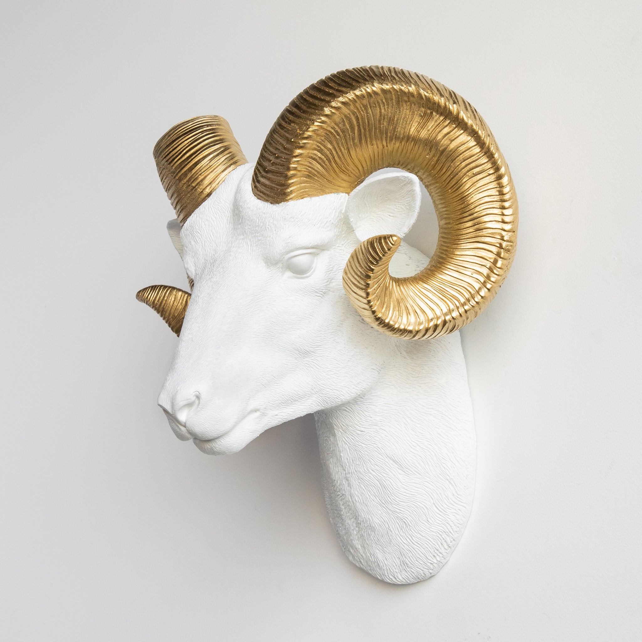 Faux Ram Wall Mount // White with Gold Horns