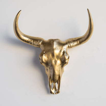 XL Faux Bison Skull // Gold