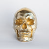 Faux Human Skull
