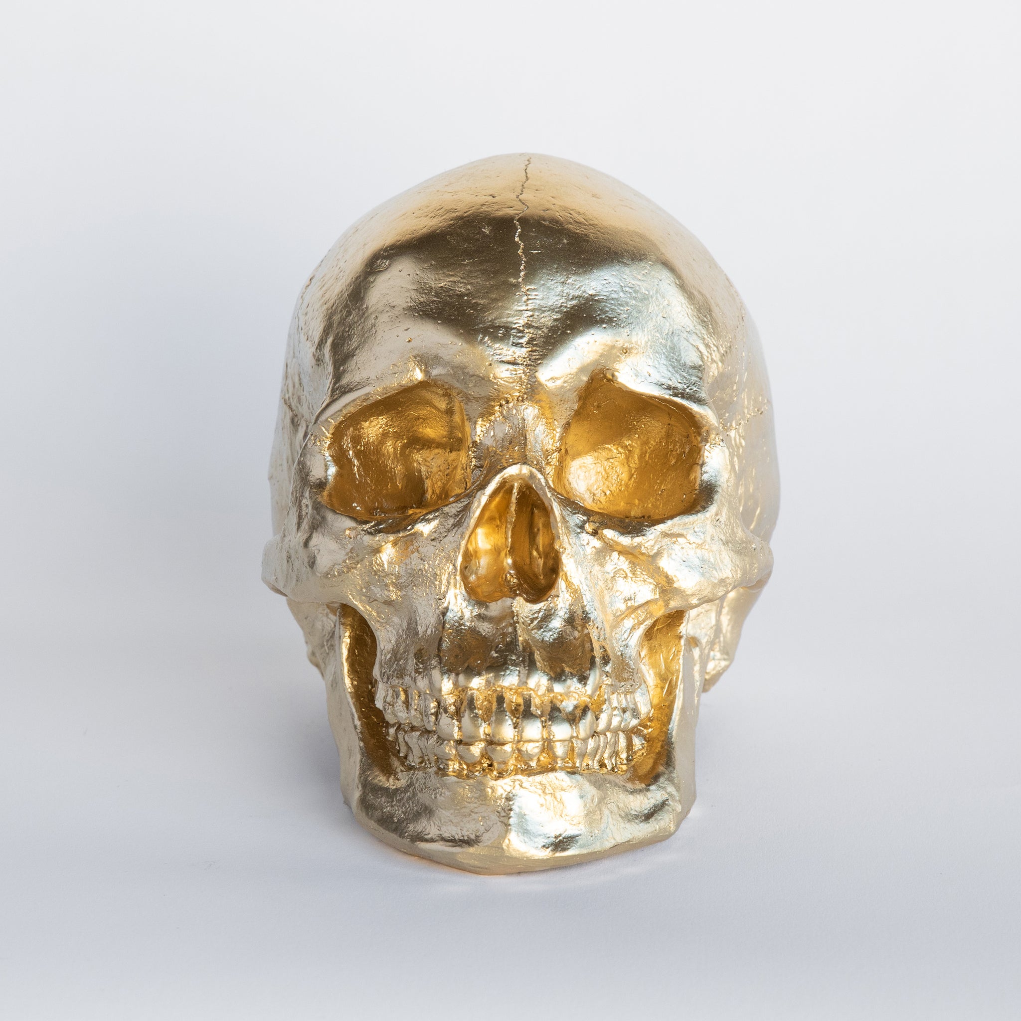 Faux Human Skull Replica // Gold