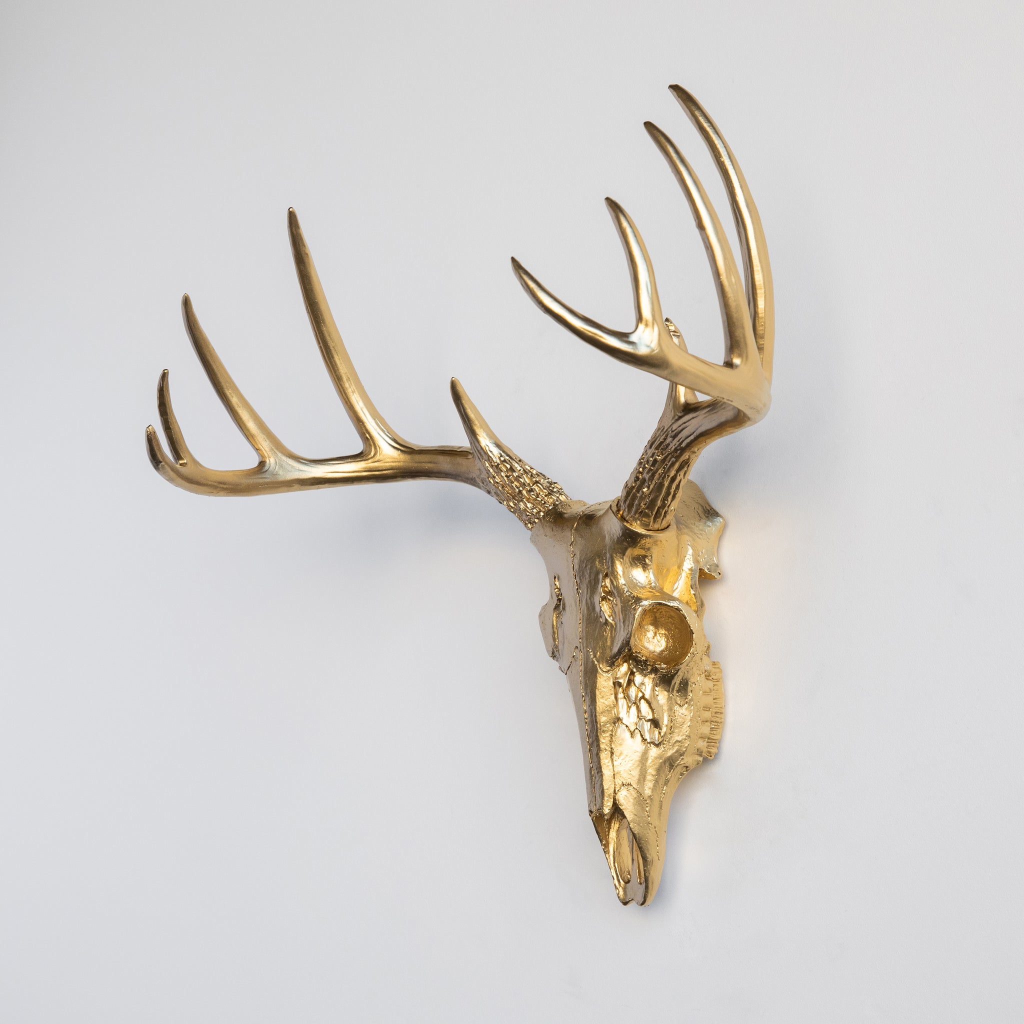Faux Small Deer Skull // Gold