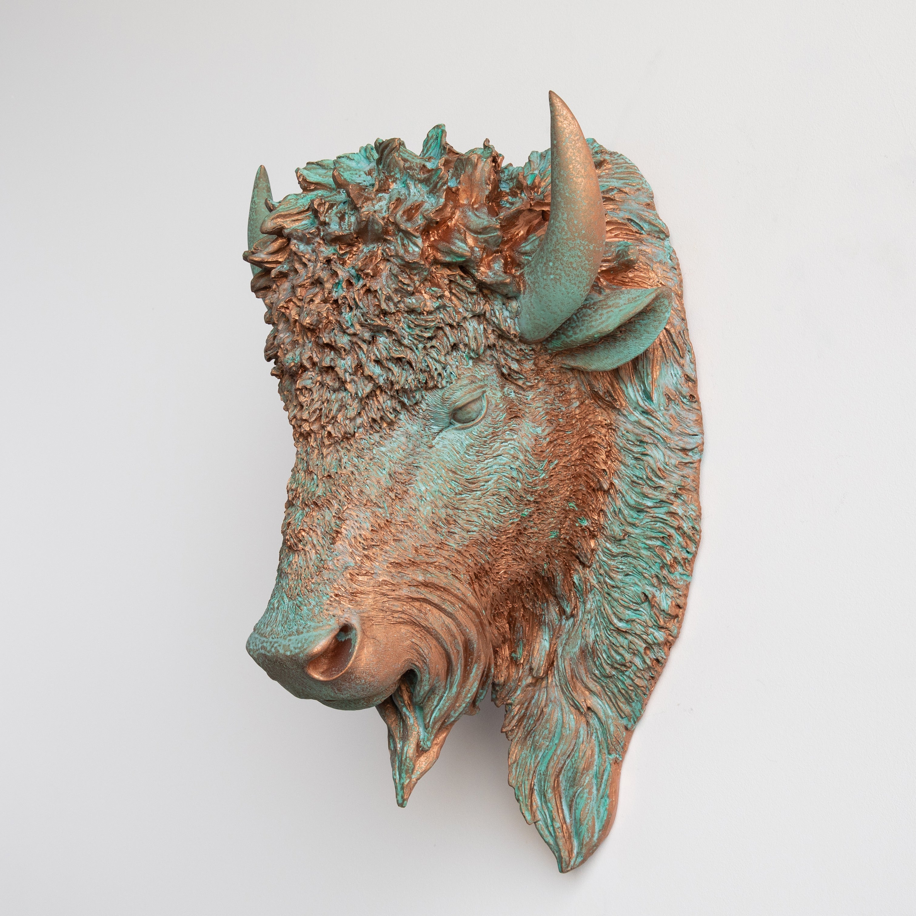 Bison Near Me Explained Bison Near Me Explained