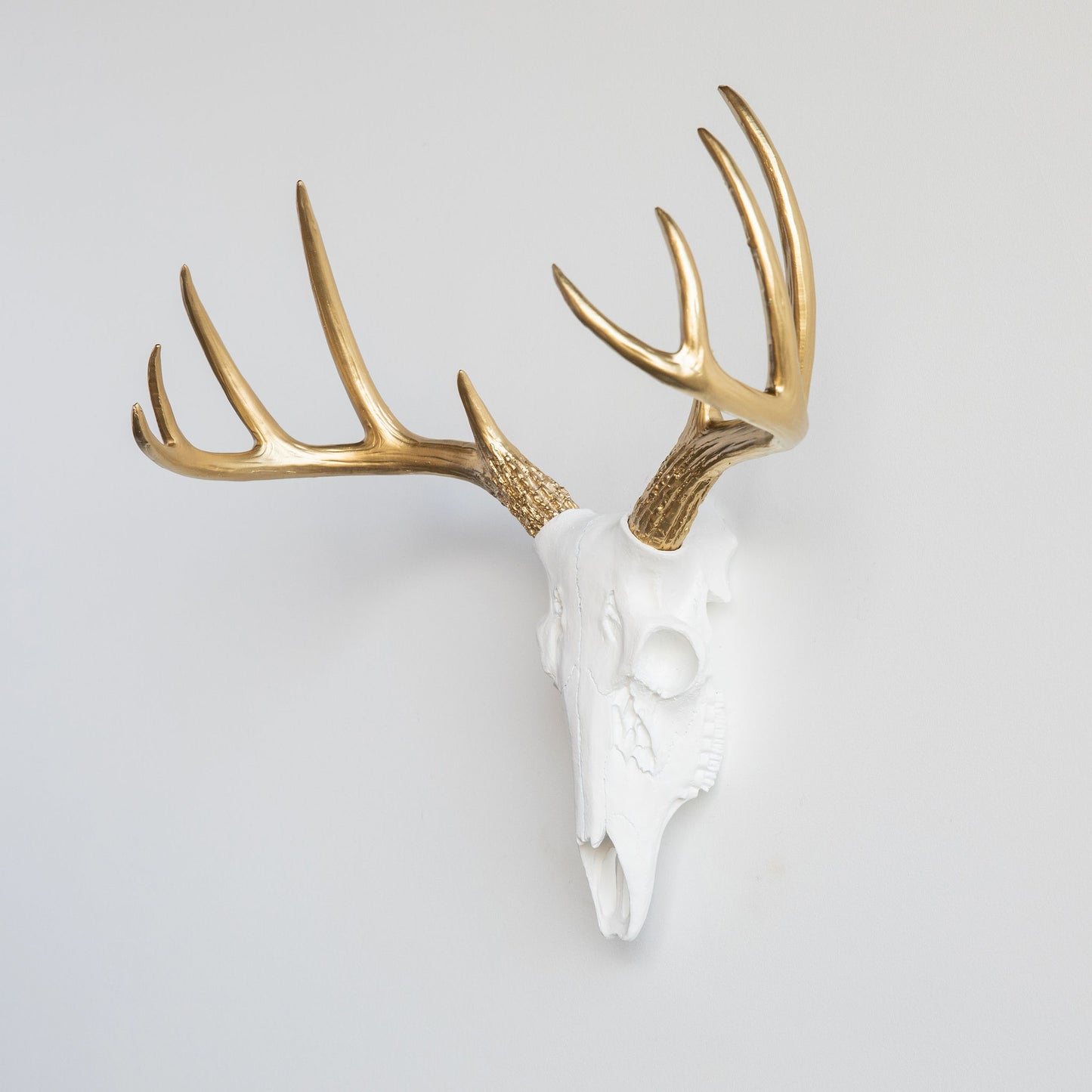 Faux Small Deer Skull // White with Gold Antlers