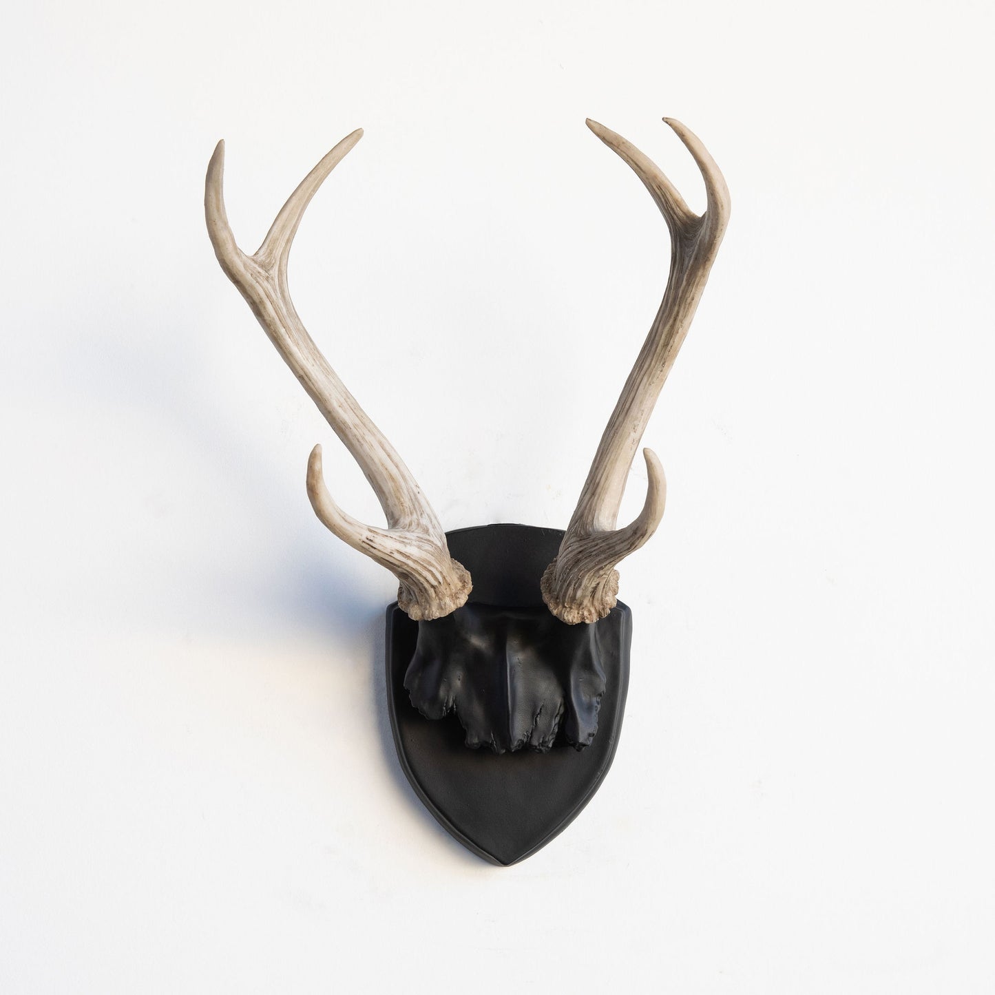 Faux Deer Antler Wall Trophy // Black and Natural