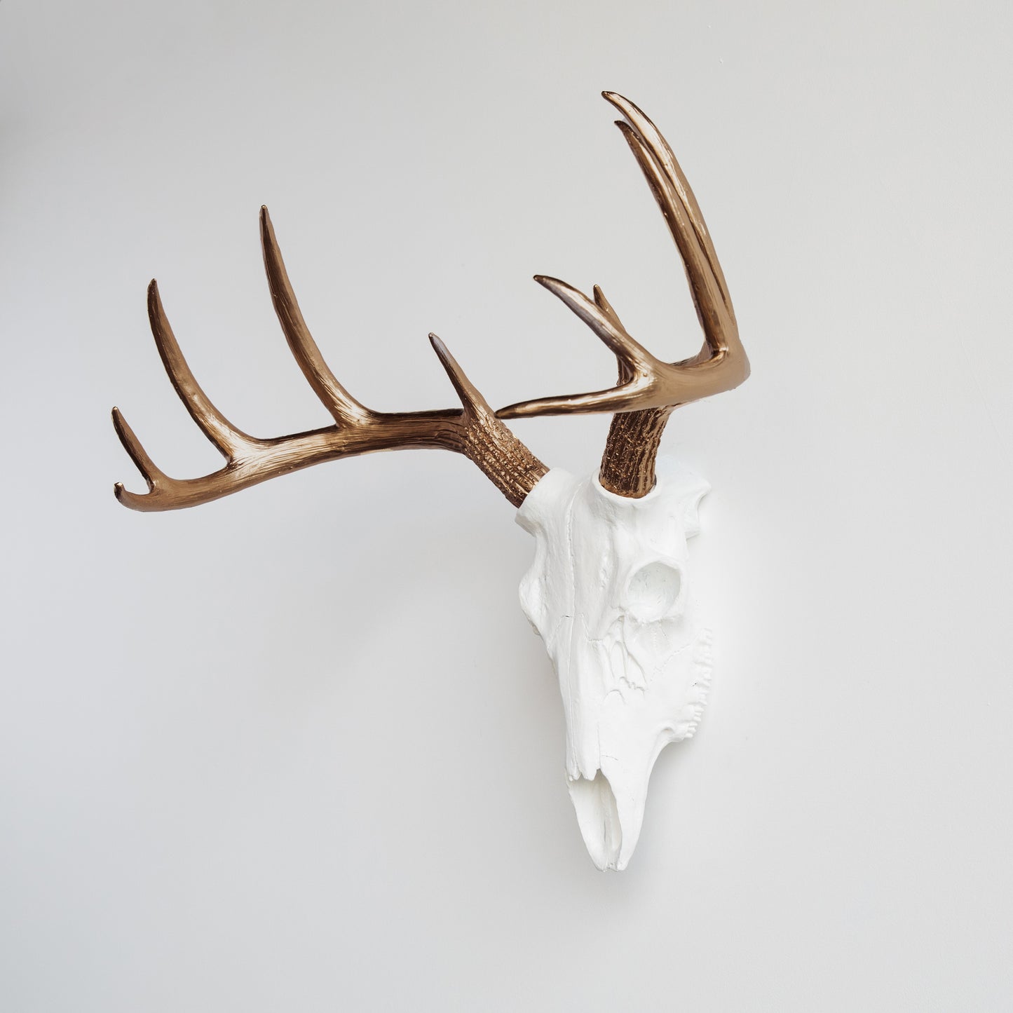 Faux Deer Skull // White and Bronze