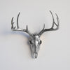 Faux Mini Deer Skull