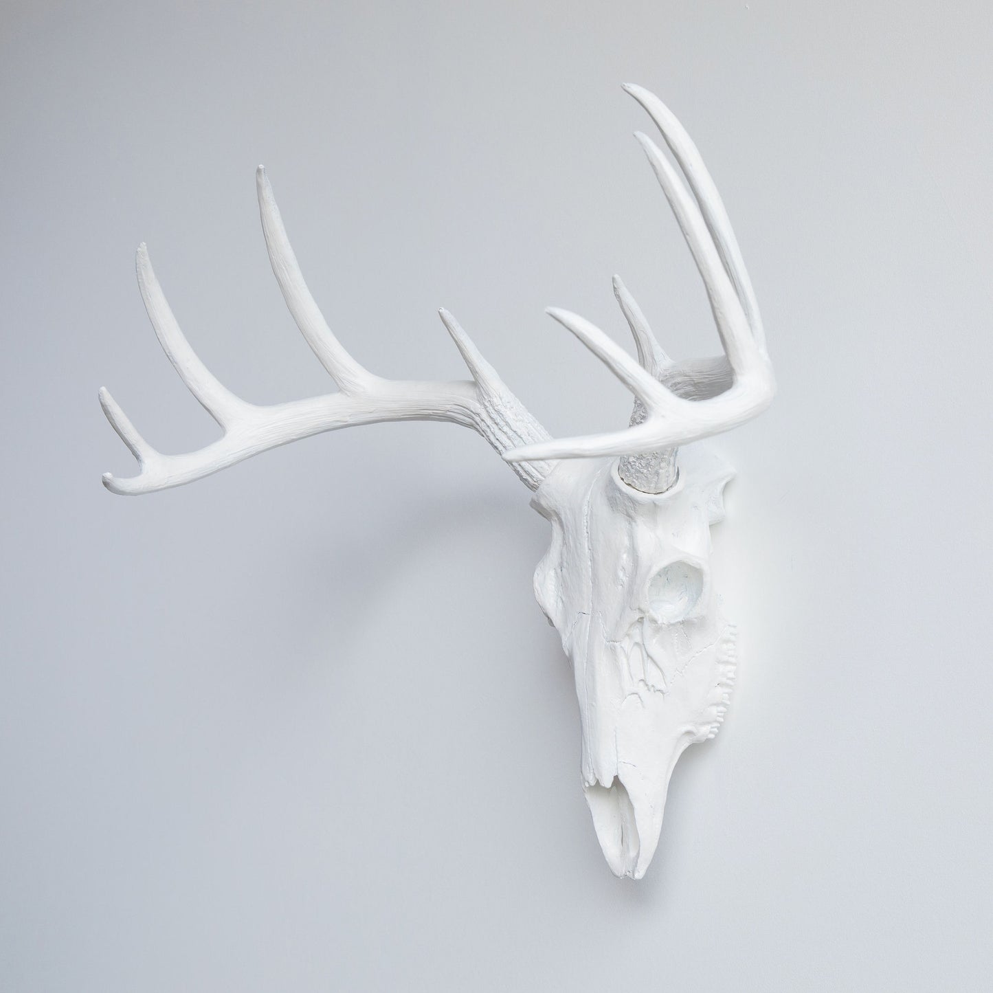 Faux Deer Skull // White