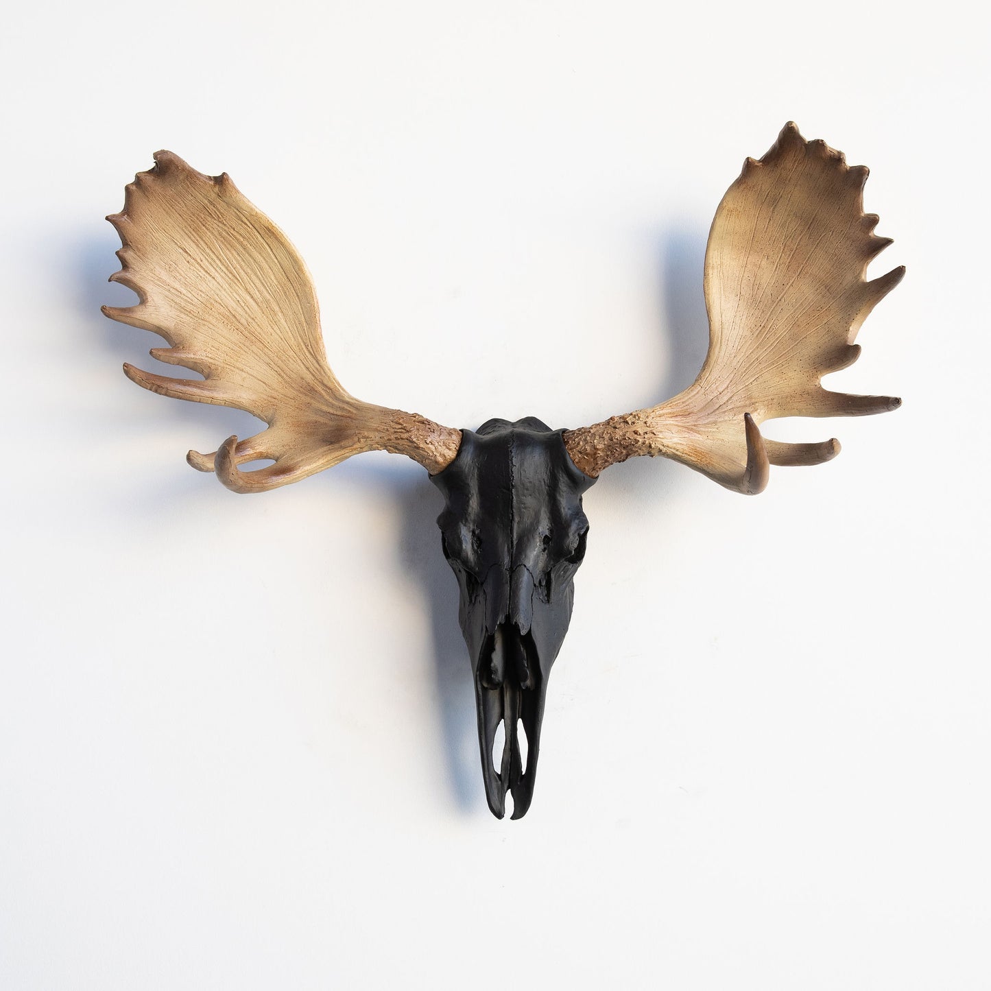 Faux Moose Skull Wall Mount // Black with Natural Brown Antlers