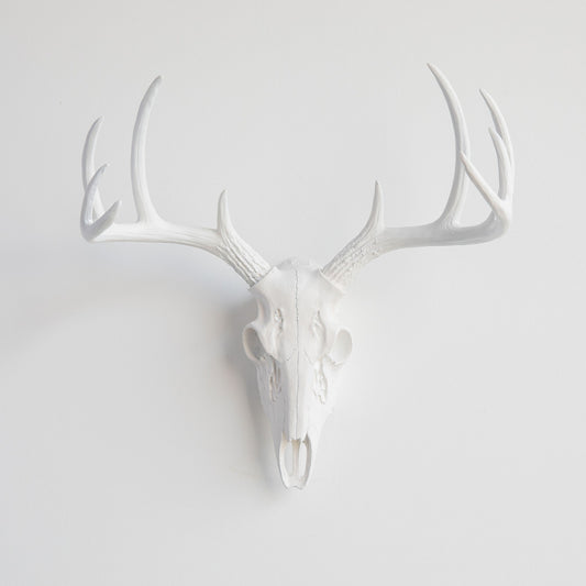 Faux Small Deer Skull // White