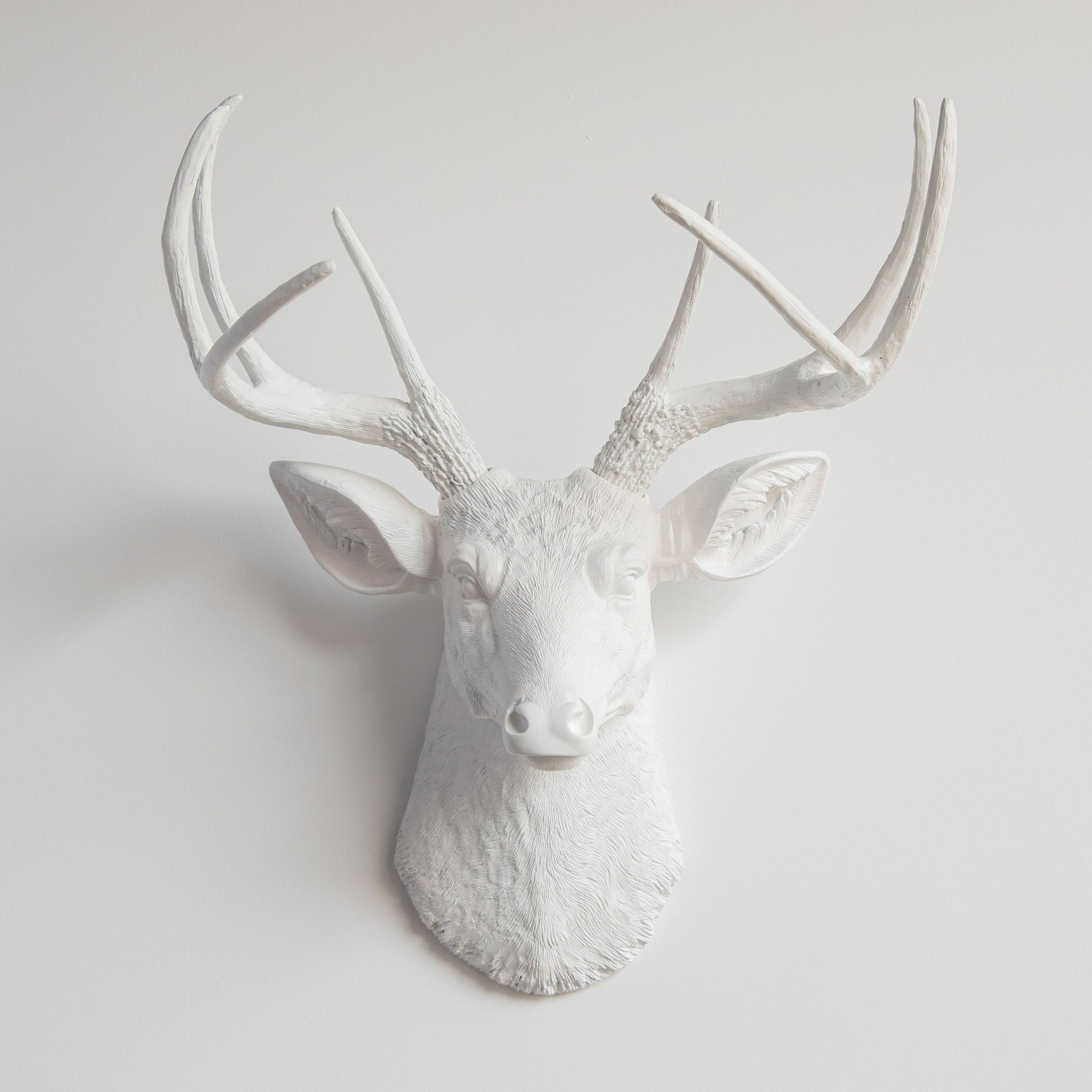 Faux Deer Head Wall Mount // White