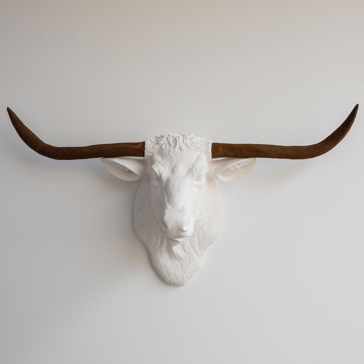 Faux Texas Longhorn Head Wall Mount // White and Rust