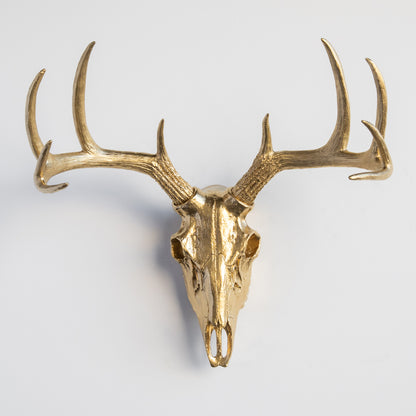 Faux Deer Skull // Gold