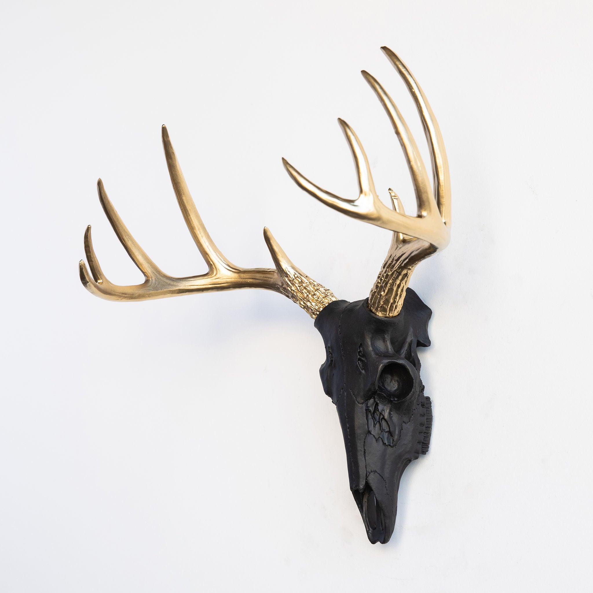 Faux Small Deer Skull // Black with Gold Antlers