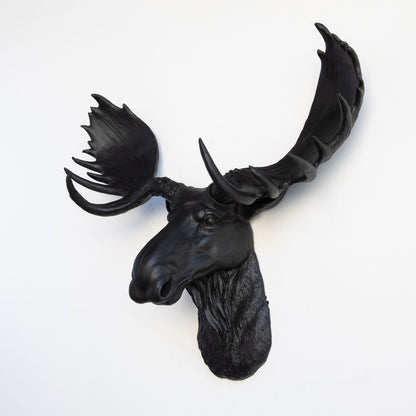 Faux Moose Head Wall Mount // Black