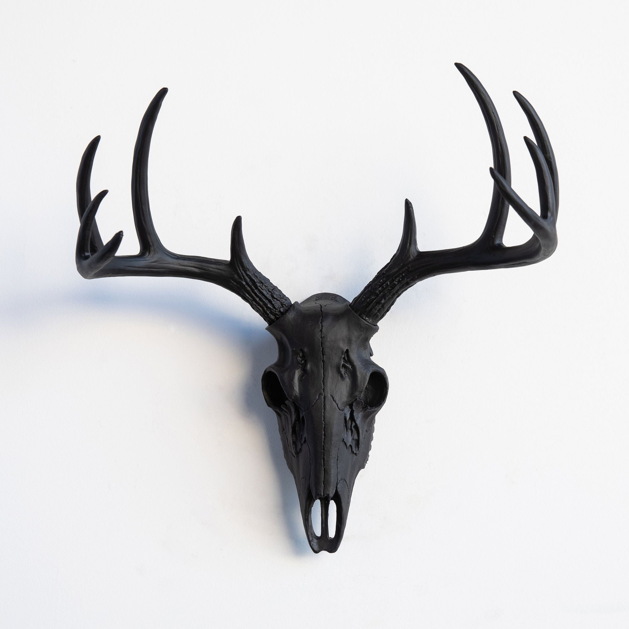 Faux Small Deer Skull // Black