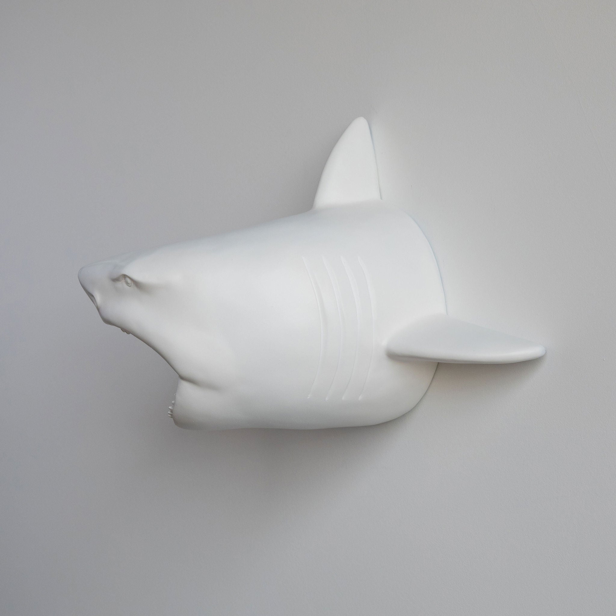 Faux Shark Head Wall Mount // White