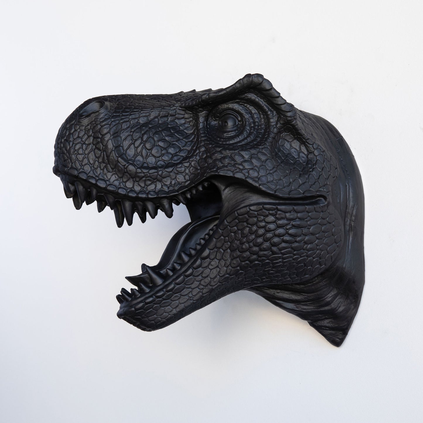 T-Rex Dinosaur Head Wall Mount // Black