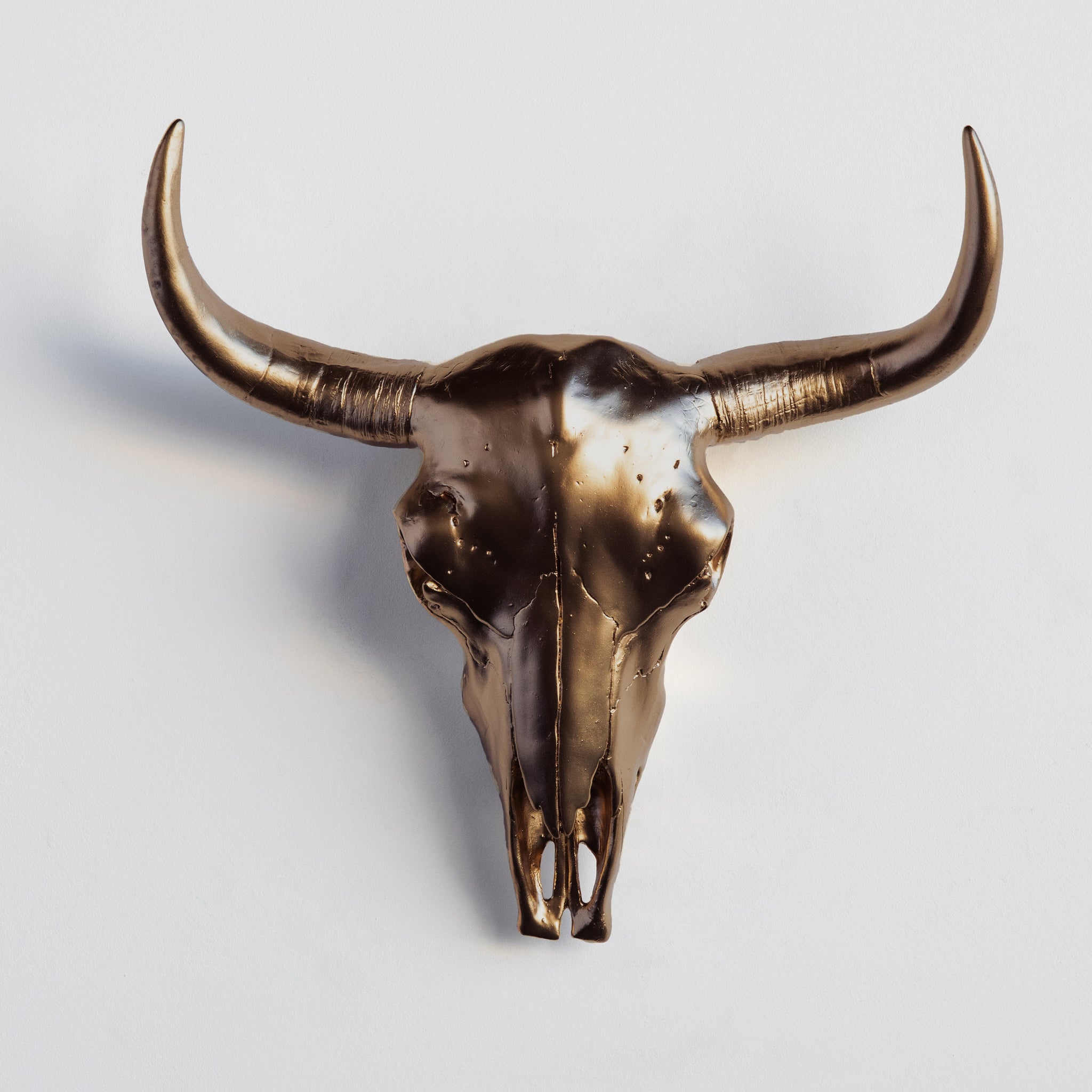 Faux Bison Skull // Bronze