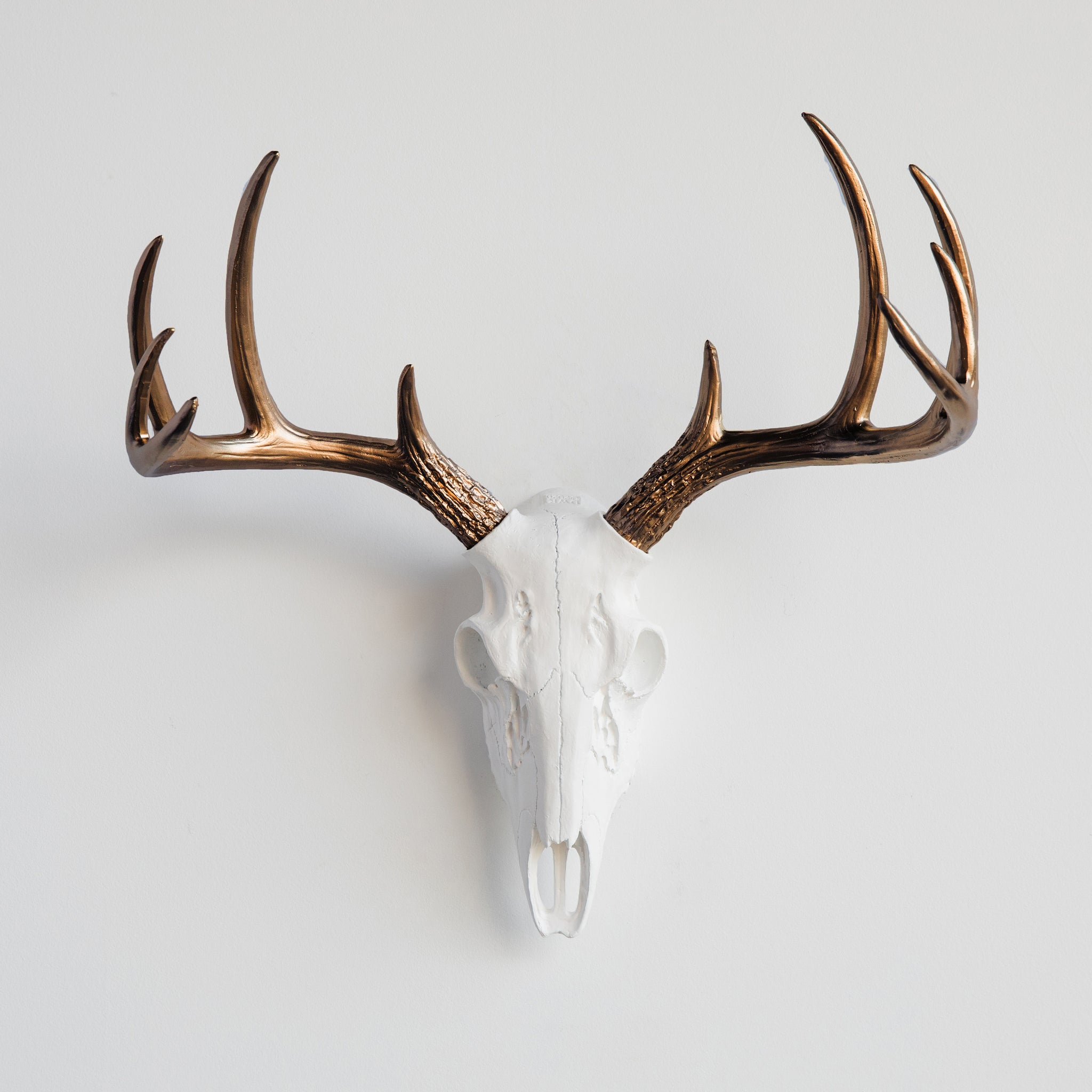Faux Small Deer Skull // White with Bronze Antlers