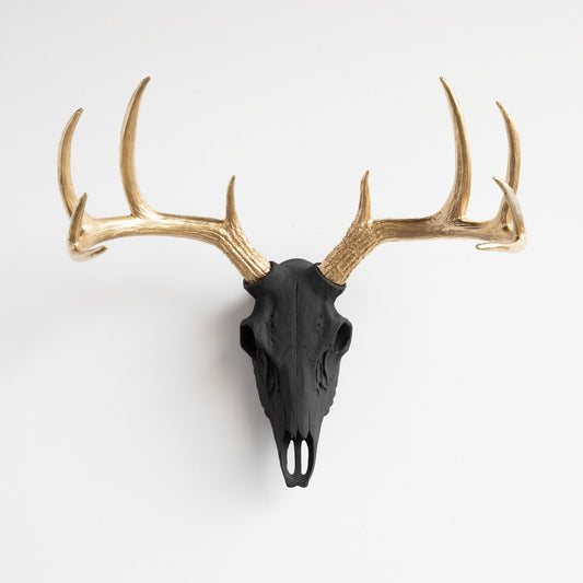Faux Deer Skull // Black and Gold