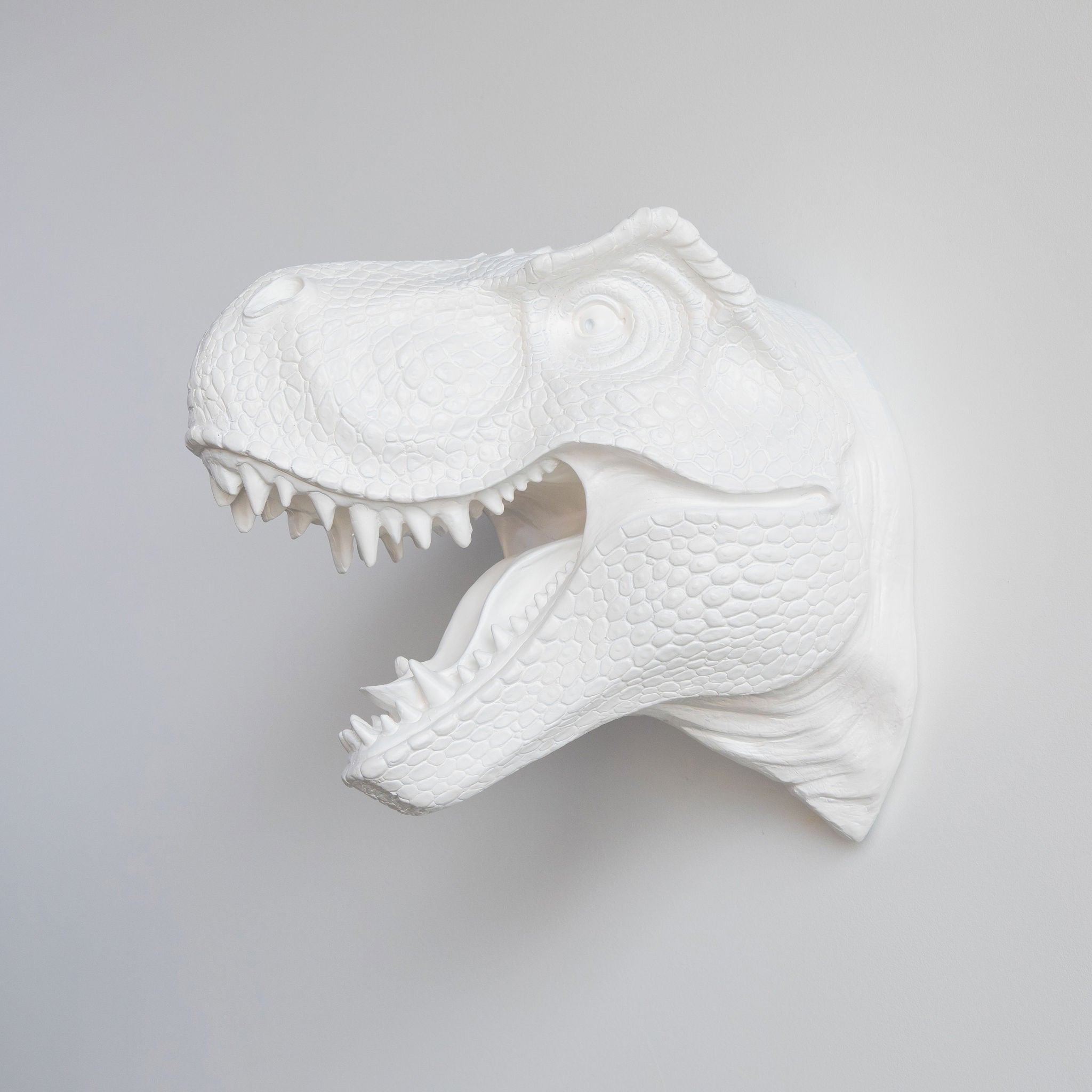 T-Rex Dinosaur Head Wall Mount // White