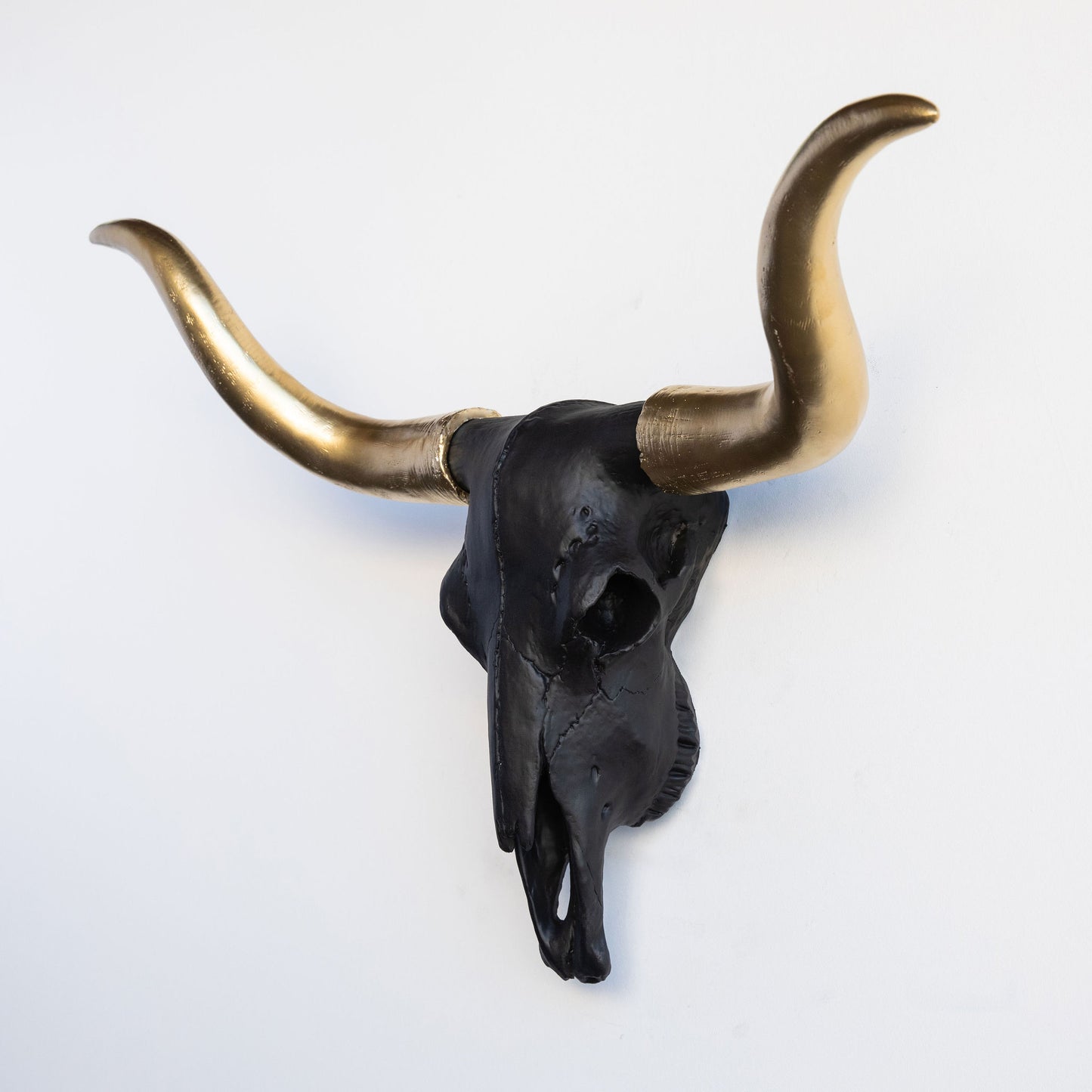 Faux Texas Longhorn Steer Skull Wall Mount // Black and Gold